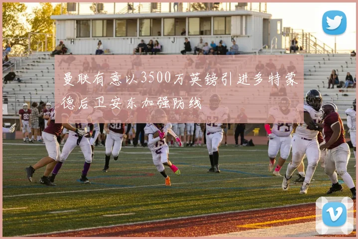曼联有意以3500万英镑引进多特蒙德后卫安东加强防线